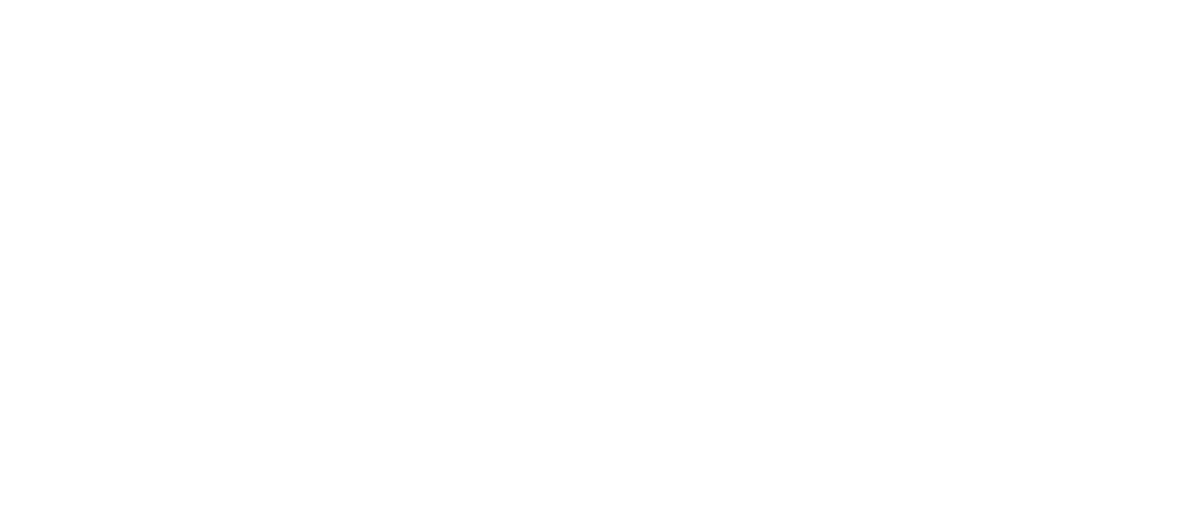 DOCELYTA logo