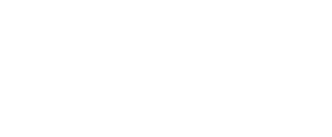 NIVERSANEJO logo