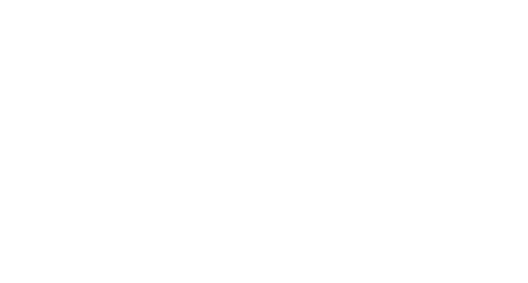 PAZ UNIVERSAL logo